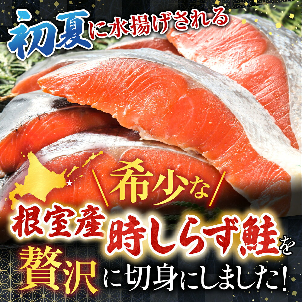 【ふるさと納税】 [北海道根室産] 時しらず鮭切身 600g × 1P ・ 1 切 × 4P グルメ 鮭 さけ サケ しゃけ シャケ 魚 さかな サカナ 沖どれザケ 沖どれざけ 春ざけ 春鮭 時不知 時鮭 ときしらず 海鮮 切り身 塩鮭 塩ざけ 北海道 B-42112 f012238-nemuro-10007594 北海道根室市 サンプル画像2