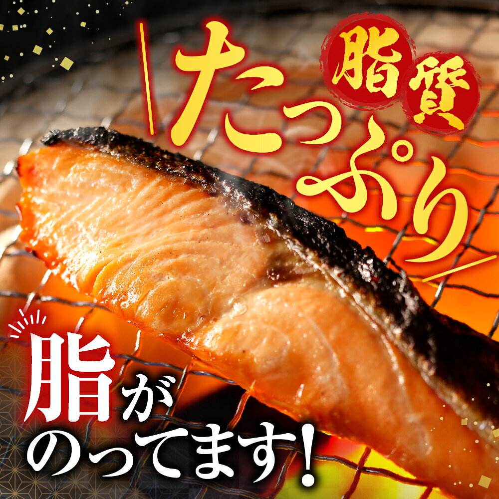 【ふるさと納税】 [北海道根室産] 時しらず鮭切身 600g × 1P ・ 1 切 × 4P グルメ 鮭 さけ サケ しゃけ シャケ 魚 さかな サカナ 沖どれザケ 沖どれざけ 春ざけ 春鮭 時不知 時鮭 ときしらず 海鮮 切り身 塩鮭 塩ざけ 北海道 B-42112 f012238-nemuro-10007594 北海道根室市 サンプル画像3
