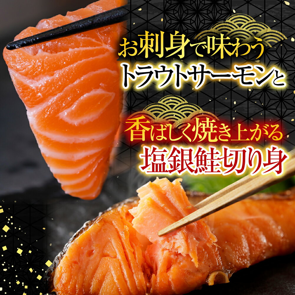 【ふるさと納税】 お刺身トラウトサーモン 2 ~ 5 本 ( 計 1kg ) ＆塩銀鮭切り身 1 切 ( 約 70g ) × 25P 鮭 さけ サケ しゃけ シャケ 魚 さかな サカナ お取り寄せ グルメ 海鮮 銀鮭 銀ザケ 銀ざけ 刺身 北海道 根室市 C-09045 f012238-nemuro-10006360 北海道根室市 サンプル画像2
