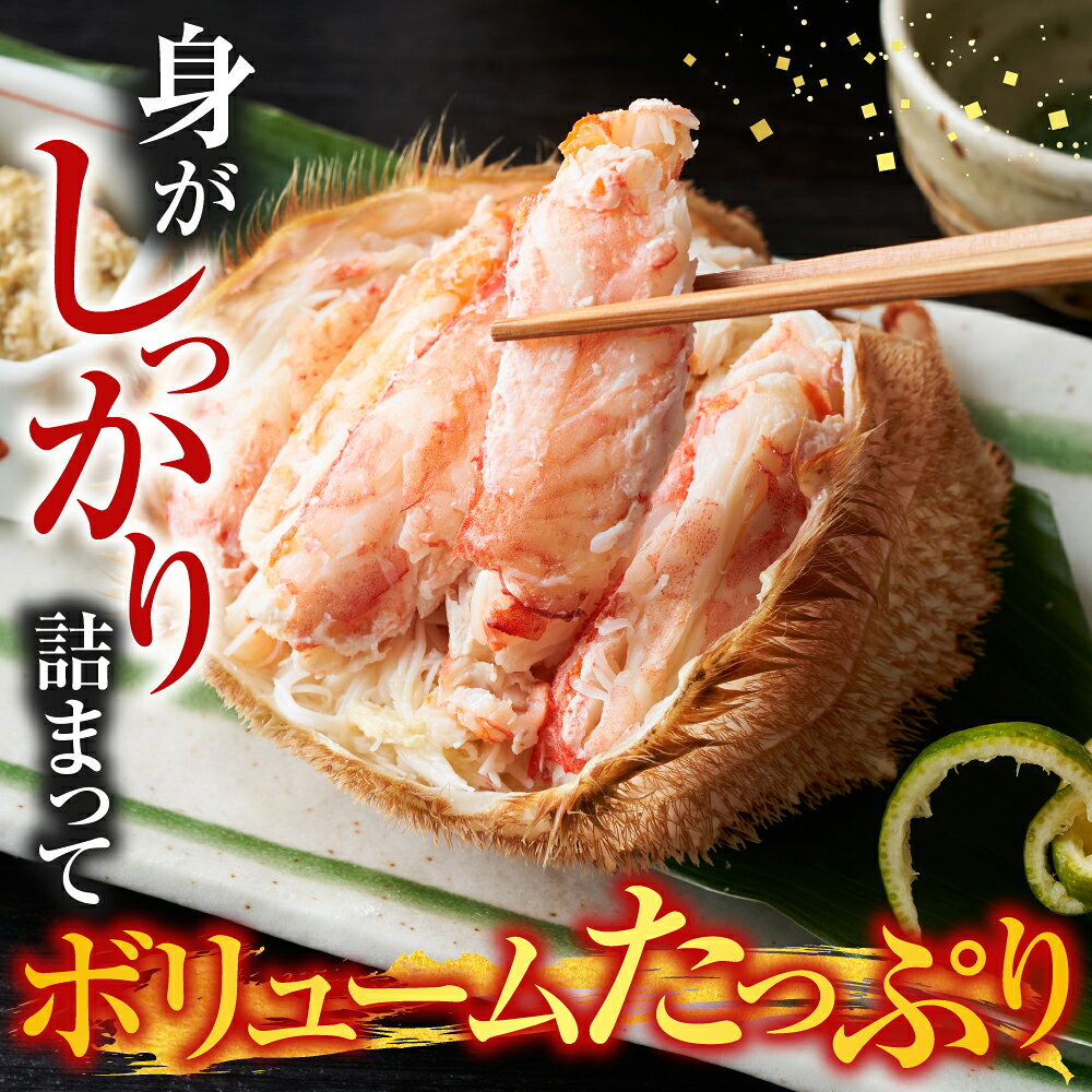 【ふるさと納税】根室海鮮市場＜直送＞ボイル毛がに700〜900g×1尾 C-28060 f012238-nemuro-10007712 北海道根室市 サンプル画像3