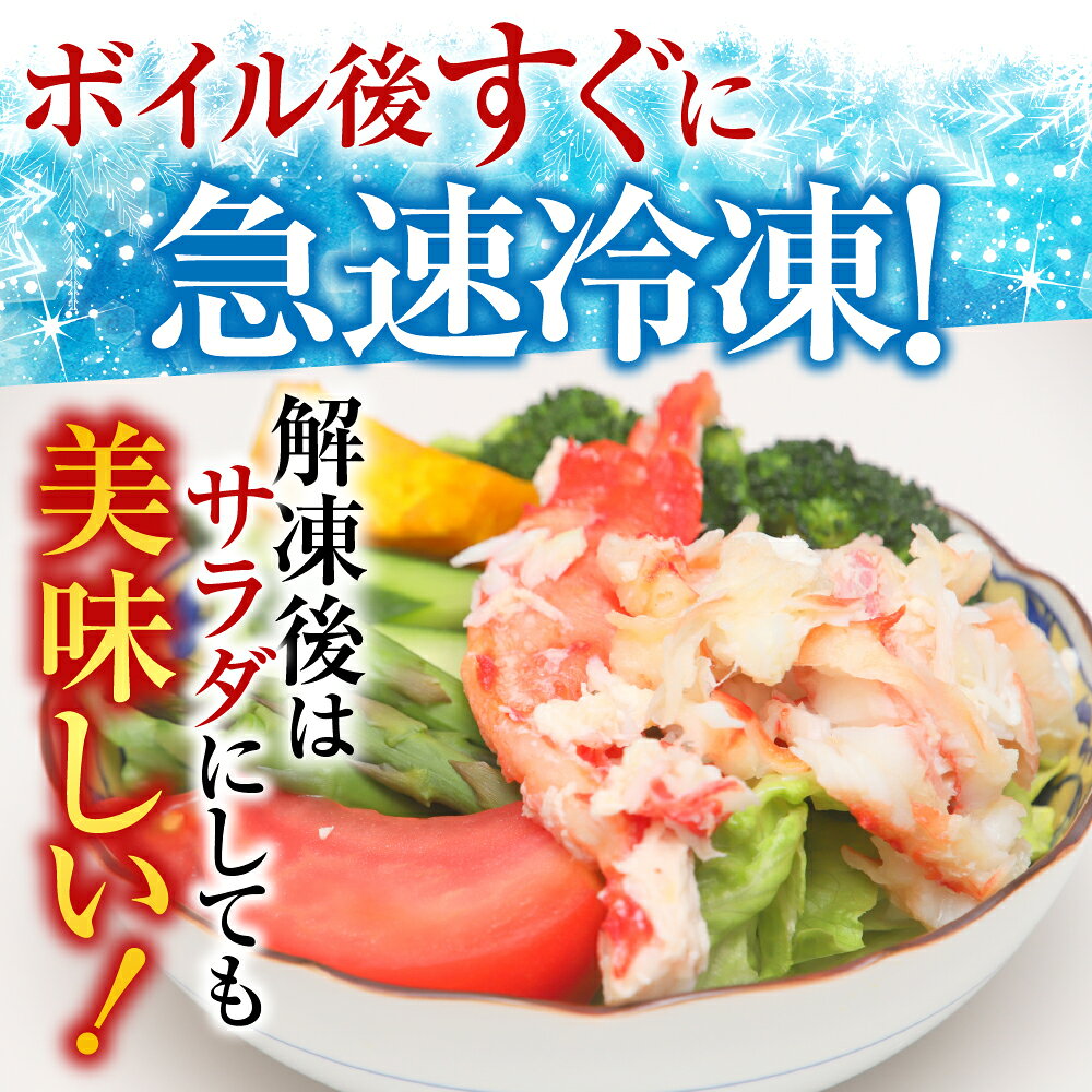 【ふるさと納税】 [北海道根室産]ボイルたらば蟹足5〜16本(計1〜1.2kg) C-36080 f012238-nemuro-10007815 北海道根室市 サンプル画像3