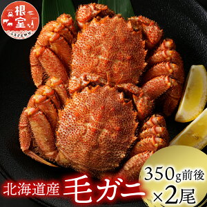 【ふるさと納税】 浜ゆで 毛がに 350g 前後 × 2 尾 毛ガニ 毛蟹 けがに ケガニ かに カニ 蟹 お取り寄せ グルメ 海鮮 ボイル 茹で蟹 茹でがに 茹でガニ 浜茹で 北海道 根室市 ふるさと納税 A-21001