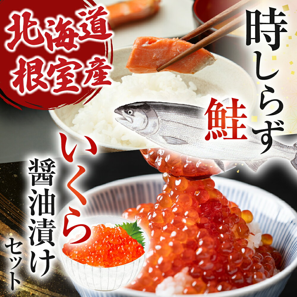【ふるさと納税】 [北海道根室産] 時しらず鮭 1.5kg × 1P ・いくら醤油漬け 80g × 6P 鮭 さけ サケ しゃけ シャケ 魚 さかな サカナ 沖どれザケ 沖どれざけ 春ザケ 春ざけ 春鮭 時不知 時鮭 ときしらず 甘塩 イクラ 醤油 D-42067 f012238-nemuro-10007552 北海道根室市 サンプル画像2
