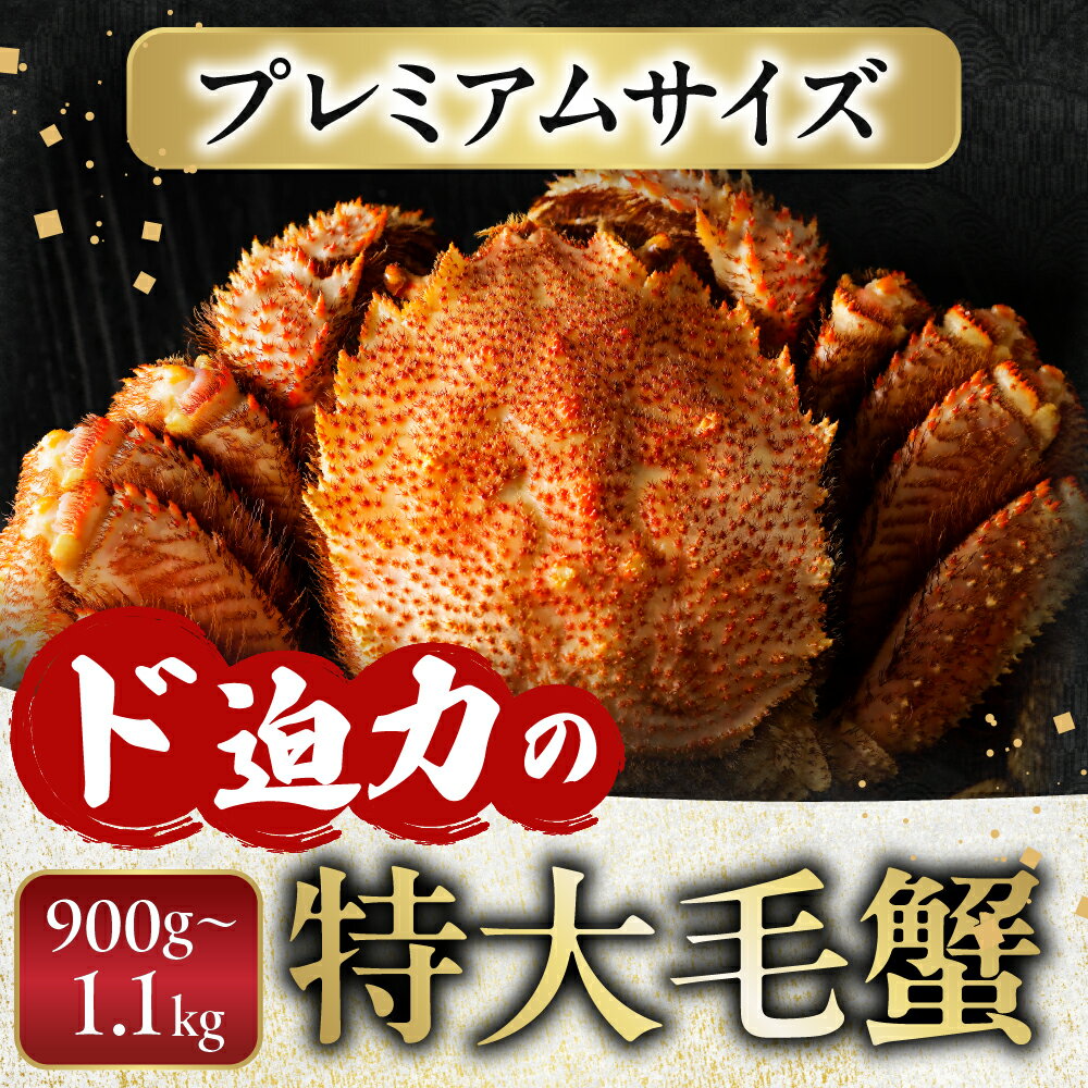 【ふるさと納税】ボイル毛がに900g〜1.1kg×1尾 F-11029 f012238-nemuro-10007682 北海道根室市 サンプル画像3
