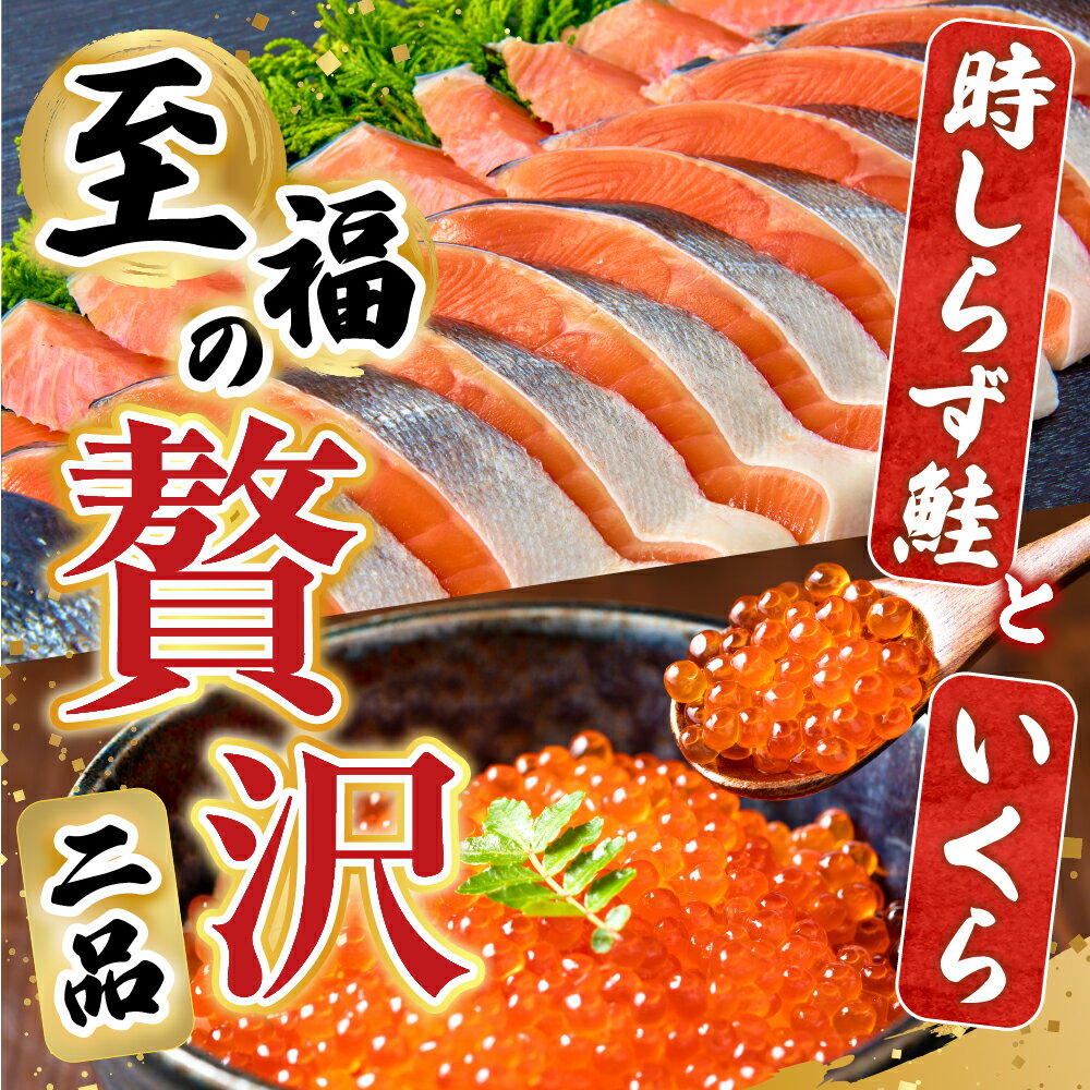 【ふるさと納税】 [北海道根室産] 時しらず鮭 1.5kg × 1P ・いくら醤油漬け 50g × 1P 鮭 さけ サケ しゃけ シャケ 魚 さかな サカナ 沖どれザケ 沖どれざけ 春ザケ 春ざけ 春鮭 時不知 時鮭 ときしらず 切身 イクラ 醤油 醤油漬 F-42013
