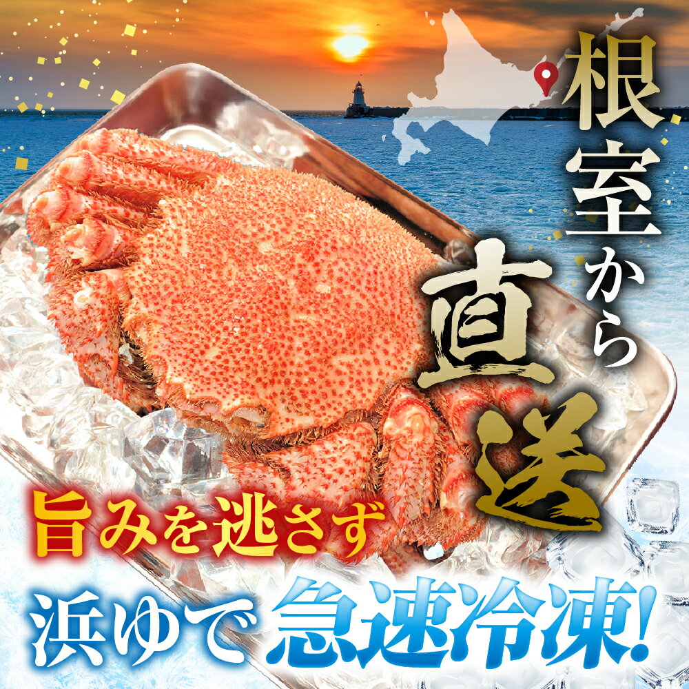 【ふるさと納税】 [北海道根室産] ボイル毛がに 2 尾 ( 計 800g ) 毛ガニ 毛蟹 けがに ケガニ かに カニ 蟹 グルメ 海鮮 ボイル 茹で蟹 茹でがに 茹でガニ 塩ゆで ミソ カニミソ カニ味噌 蟹味噌 かに味噌 北海道 根室市 F-42016