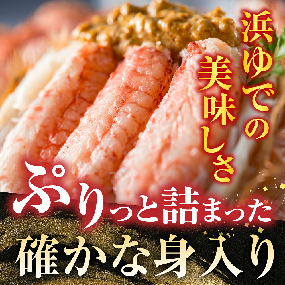 【ふるさと納税】 [北海道根室産] ボイル毛がに 2 尾 ( 計 800g ) 毛ガニ 毛蟹 けがに ケガニ かに カニ 蟹 グルメ 海鮮 ボイル 茹で蟹 茹でがに 茹でガニ 塩ゆで ミソ カニミソ カニ味噌 蟹味噌 かに味噌 北海道 根室市 F-42016 f012238-nemuro-10007569 北海道根室市 サンプル画像3