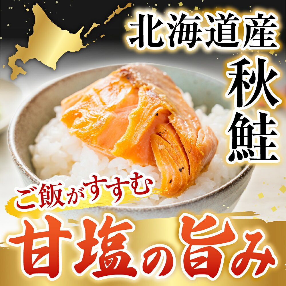 【ふるさと納税】 根室海鮮市場 ＜直送＞ 無添加甘塩天然秋鮭 4 切 選べる 3P 6P 秋さけ 秋サケ 秋味 アキアジ サカナ さかな 魚 しゃけ シャケ 秋ざけ 秋ザケ お取り寄せ グルメ 海鮮 北海道 根室市 ふるさと納税 f012238-nemuro-10006980 北海道根室市 サンプル画像2