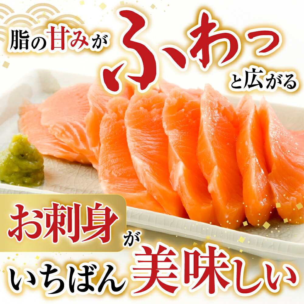 【ふるさと納税】 根室海鮮市場 ＜直送＞ お刺身トラウトサーモン 2P ( 計 350 ~ 450g ) 鮭 さけ サケ しゃけ シャケ 魚 さかな サカナ 海鮮丼 カルパッチョ 刺身 フライ お取り寄せ グルメ 海鮮 北海道 根室市 ふるさと納税 G-28045 f012238-nemuro-10007006 北海道根室市 サンプル画像2