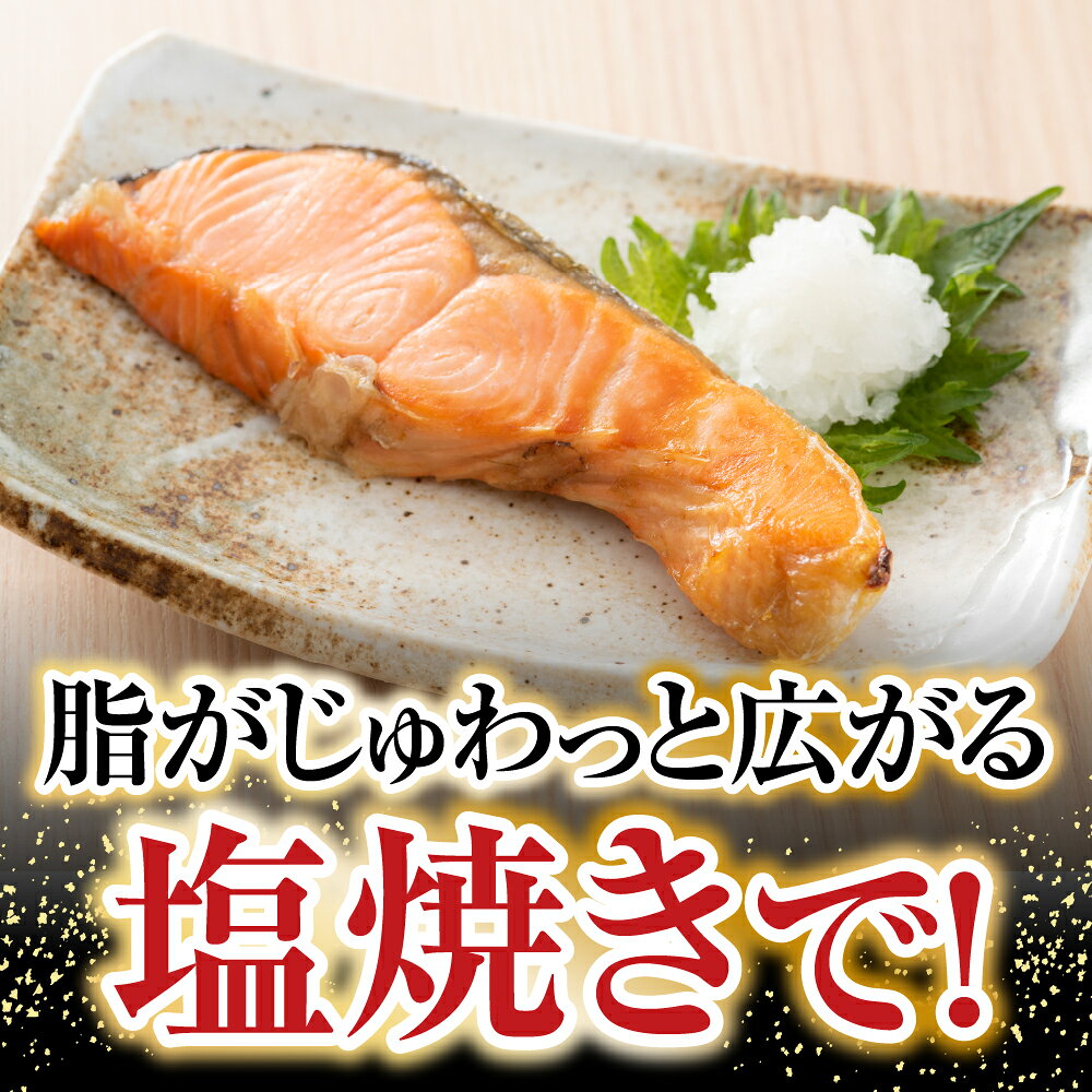 【ふるさと納税】 [北海道根室産] 時しらず鮭切身 1 切 × 4P 鮭 さけ サケ しゃけ シャケ 魚 さかな サカナ 沖どれザケ 沖どれざけ 春ザケ 春ざけ 春鮭 時不知 時鮭 ときしらず グルメ 海鮮 切り身 塩ざけ 塩鮭 北海道 G-42017 f012238-nemuro-10007598 北海道根室市 サンプル画像3