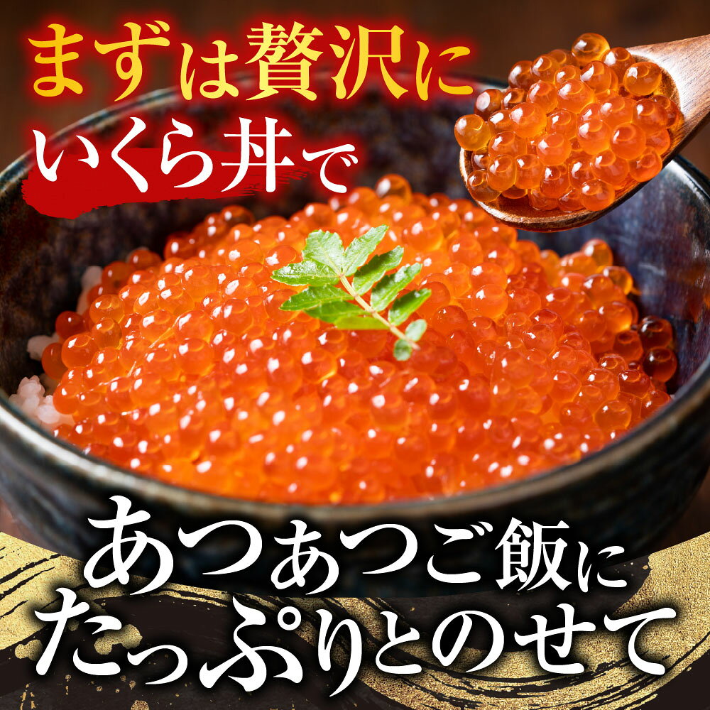 【ふるさと納税】 いくら醤油漬け ( 鮭卵 ) 70g × 5P ( 計 350g ) 小分け イクラ 醤油 醤油漬 魚卵 お取り寄せ グルメ 海鮮 北海道 根室市 ふるさと納税 B-14010 f012238-nemuro-10001043 北海道根室市 サンプル画像3