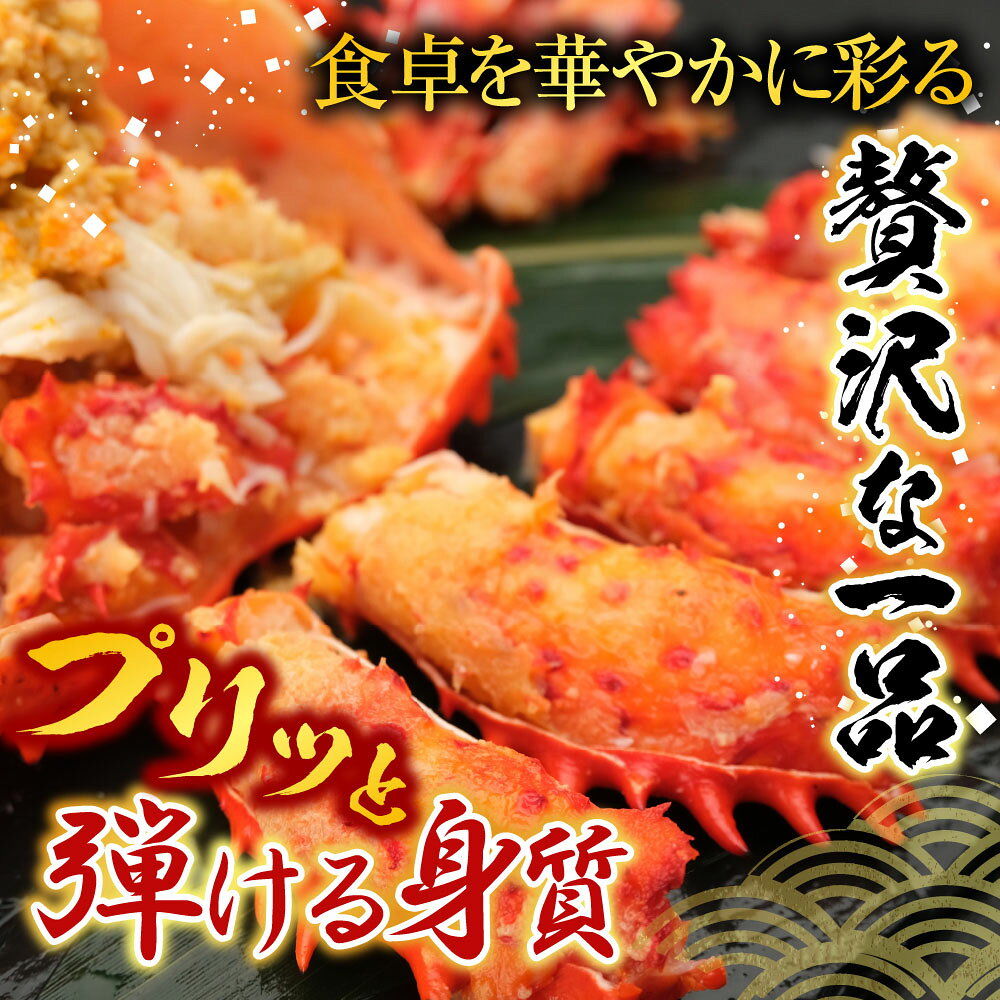 【ふるさと納税】 花咲かに 2 尾・甘塩紅鮭 5 切 × 1P セットグルメ 花咲がに 花咲 花咲ガニ 花咲蟹 かに カニ 蟹 鮭 さけ サケ しゃけ シャケ 魚 さかな サカナ 紅ざけ 紅ザケ べにざけ ベニザケ グルメ 海鮮 北海道 A-70025 f012238-nemuro-10001745 北海道根室市 サンプル画像3