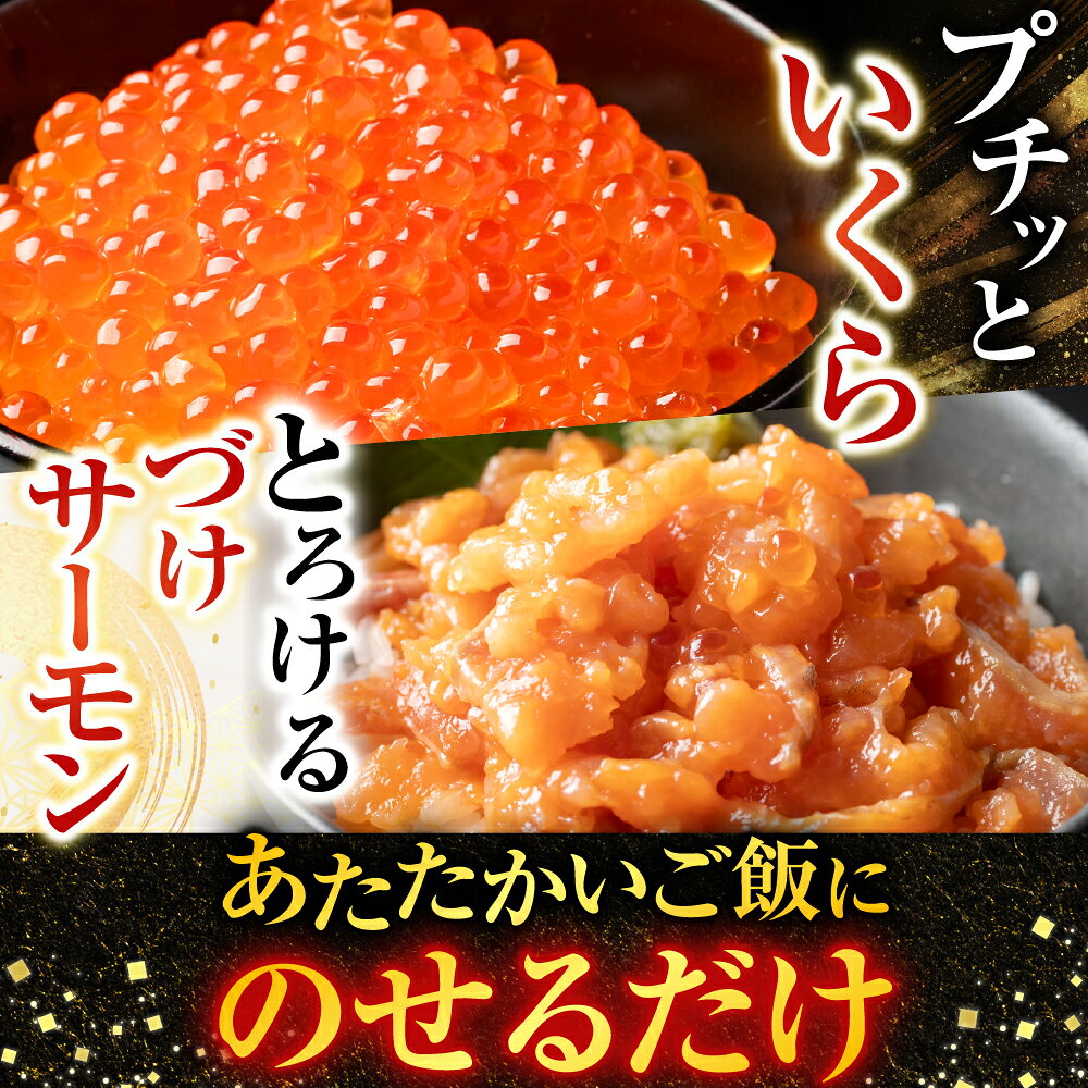 【ふるさと納税】 ＜鮭匠ふじい＞ いくら・サーモンづくし 松前漬け イクラ 醤油 醤油漬 醤油漬け 魚卵 鮭卵 お取り寄せ グルメ 海鮮 サケ さけ しゃけ シャケ 北海道 根室市 ふるさと納税 B-42016 f012238-nemuro-10001770 北海道根室市 サンプル画像3