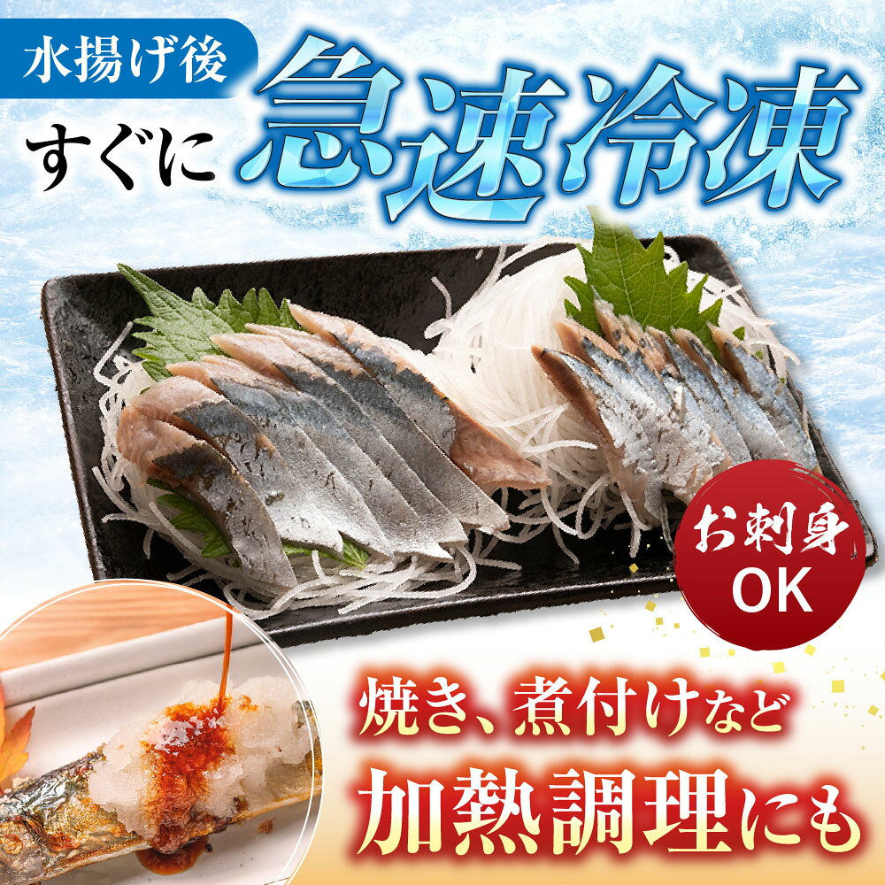 【ふるさと納税】 甘塩紅鮭 5 切 × 4P、冷凍生さんま 5 尾 × 4P セット さけ サケ シャケ 鮭 秋刀魚 サンマ 紅ざけ 紅ザケ べにざけ ベニザケ お取り寄せ グルメ 海鮮 北海道 根室市 ふるさと納税 C-36015 f012238-nemuro-10002701 北海道根室市 サンプル画像3