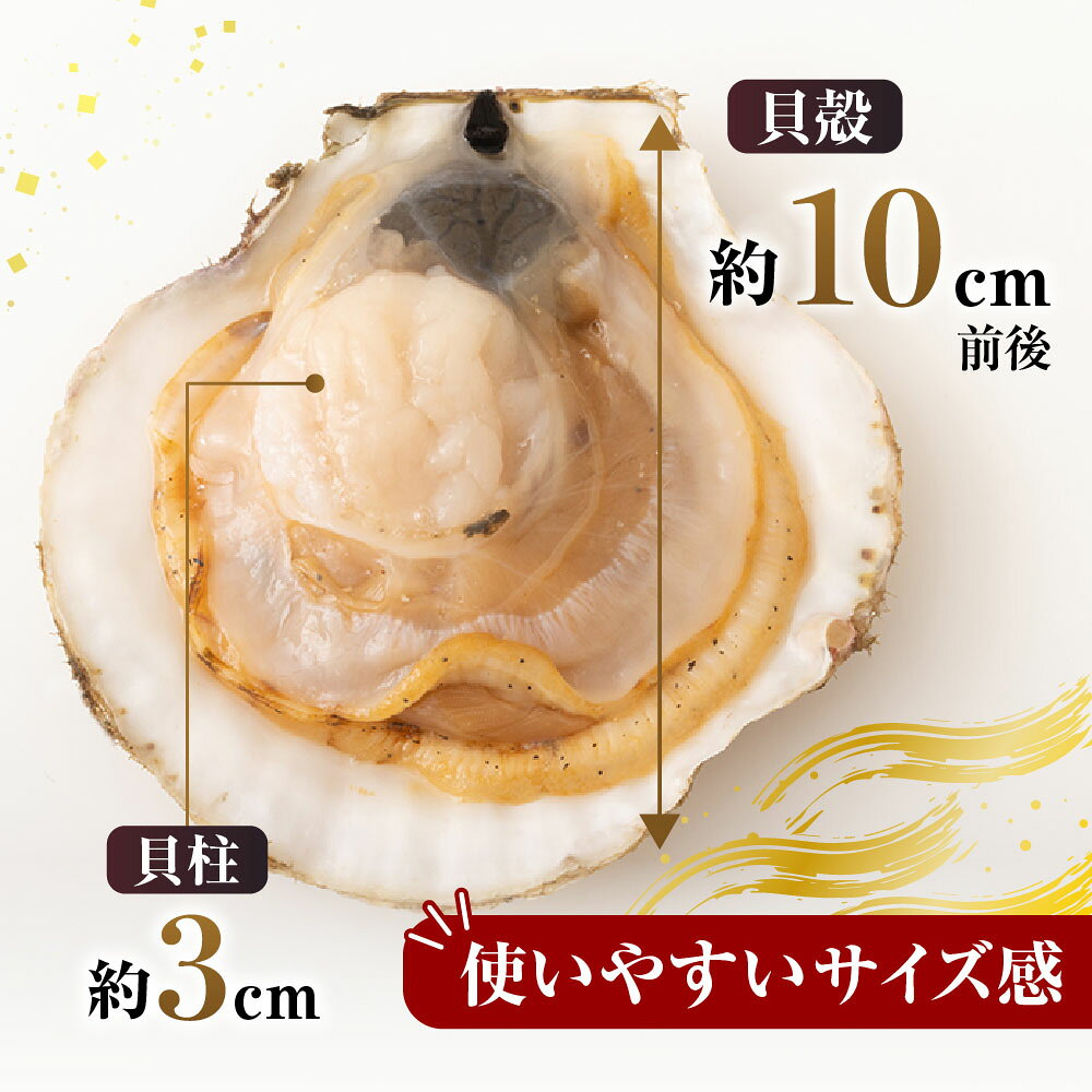 【ふるさと納税】 片貝ほたて 10 枚 × 2 袋 貝柱 お取り寄せ グルメ 海鮮 ホタテ ほたて 帆立 帆立貝柱 ほたて貝柱 ホタテ貝柱 殻付き 炉端焼き 北海道 根室市 ふるさと納税 A-14134 f012238-nemuro-10002807 北海道根室市 サンプル画像3