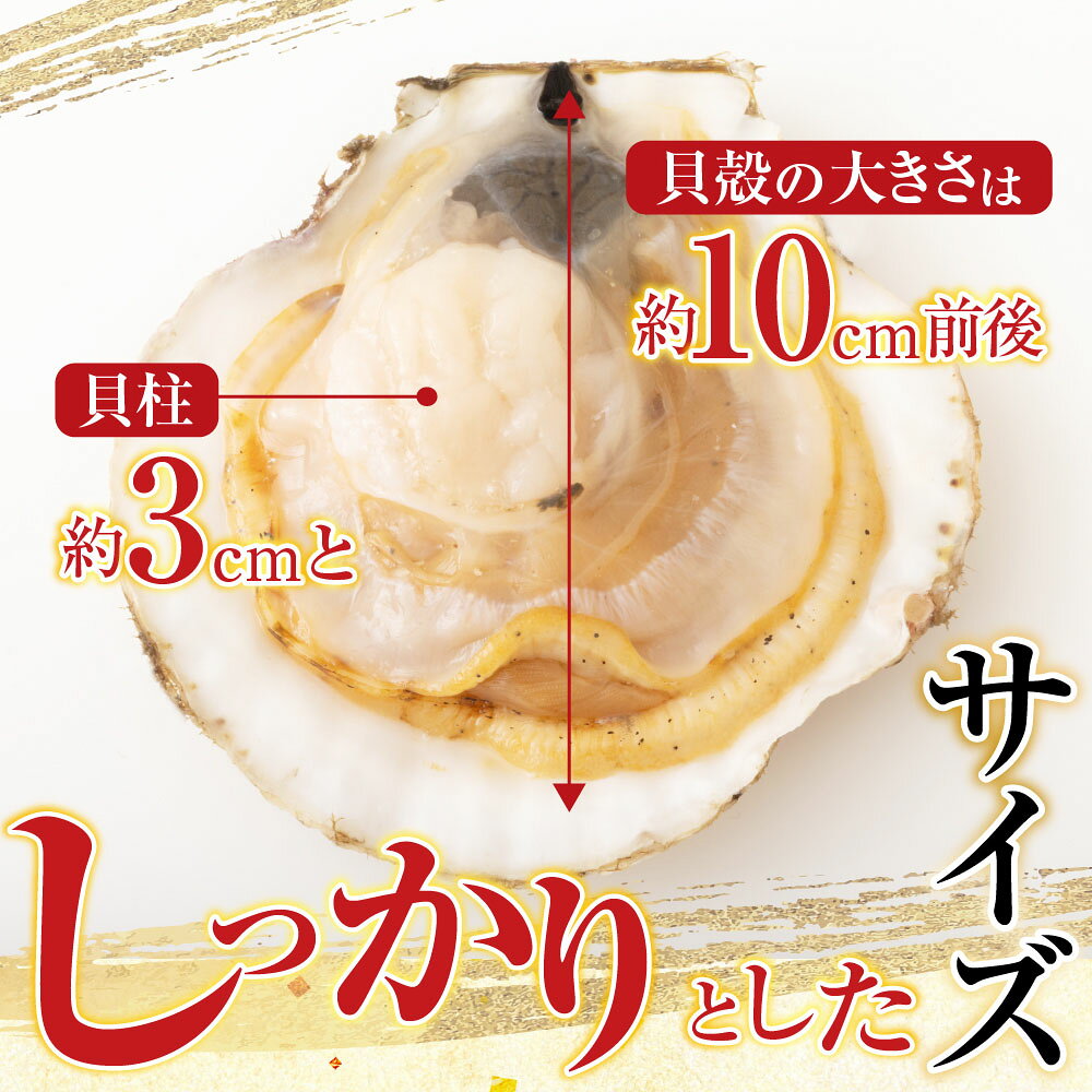 【ふるさと納税】 根室海鮮市場 ＜直送＞ 片貝ほたて 10 枚 × 2 袋 ホタテ ほたて 帆立 帆立貝柱 ほたて貝柱 貝柱 ホタテ貝柱 殻付き 炉端焼き お取り寄せ グルメ 北海道 根室市 ふるさと納税 A-28124 f012238-nemuro-10002875 北海道根室市 サンプル画像3
