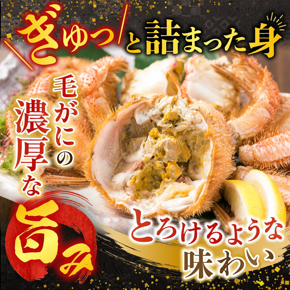 サンプル画像2