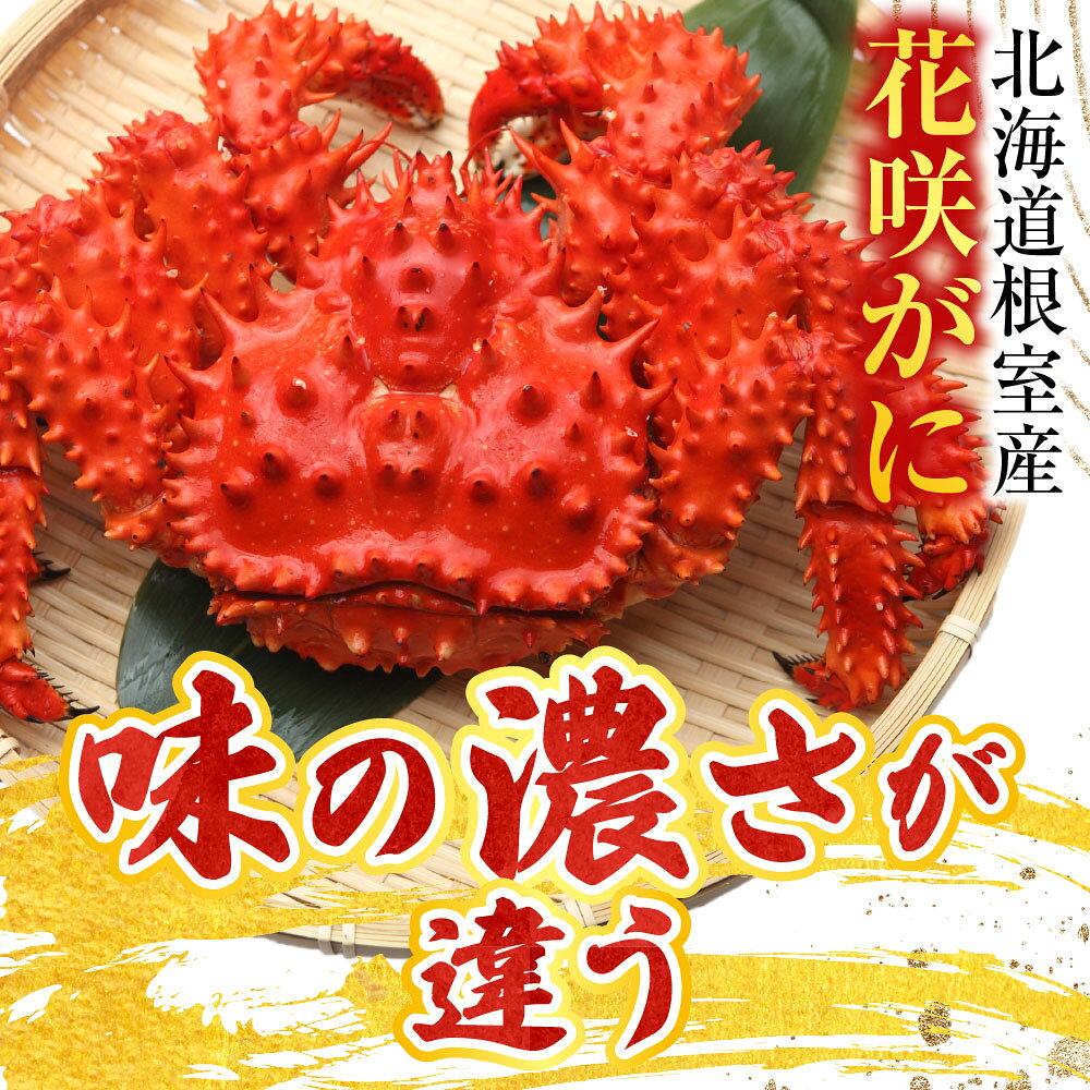 【ふるさと納税】 [北海道根室産] 花咲かに 選べる 350 ~ 400g × 3 尾 500g 前後 × 2 尾 花咲がに 花咲ガニ 花咲蟹 かに カニ 蟹 お取り寄せ グルメ 海鮮 ボイル 茹で蟹 茹でがに 茹でガニ 北海道 根室市 ふるさと納税