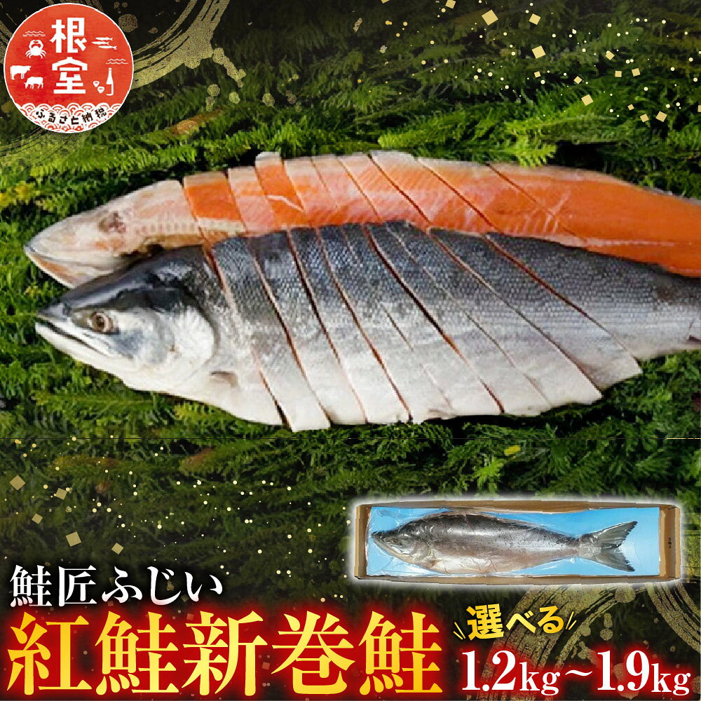 ＜鮭匠ふじい＞ 紅鮭新巻鮭 1.2kg~1.9kg 選べる ベニサケ べにさけ 魚 サカナ さかな 海鮮 鮭 さけ サケ しゃけ シャケ お取り寄せ グルメ 塩漬け 塩 塩漬 北海道 根室市 ふるさと納税
