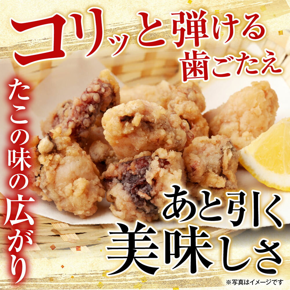 【ふるさと納税】 たこ唐揚げ 250g × 1P、ほたて貝柱 200g × 1P、甘塩紅鮭 5 切 × 1P ホタテ ほたて 帆立 帆立貝柱 ホタテ貝柱 貝柱 サケ さけ しゃけ シャケ紅ザケ べにざけ 蛸 タコ グルメ 海鮮 からあげ 北海道 根室市 A-70058 f012238-nemuro-10006434 北海道根室市 サンプル画像2