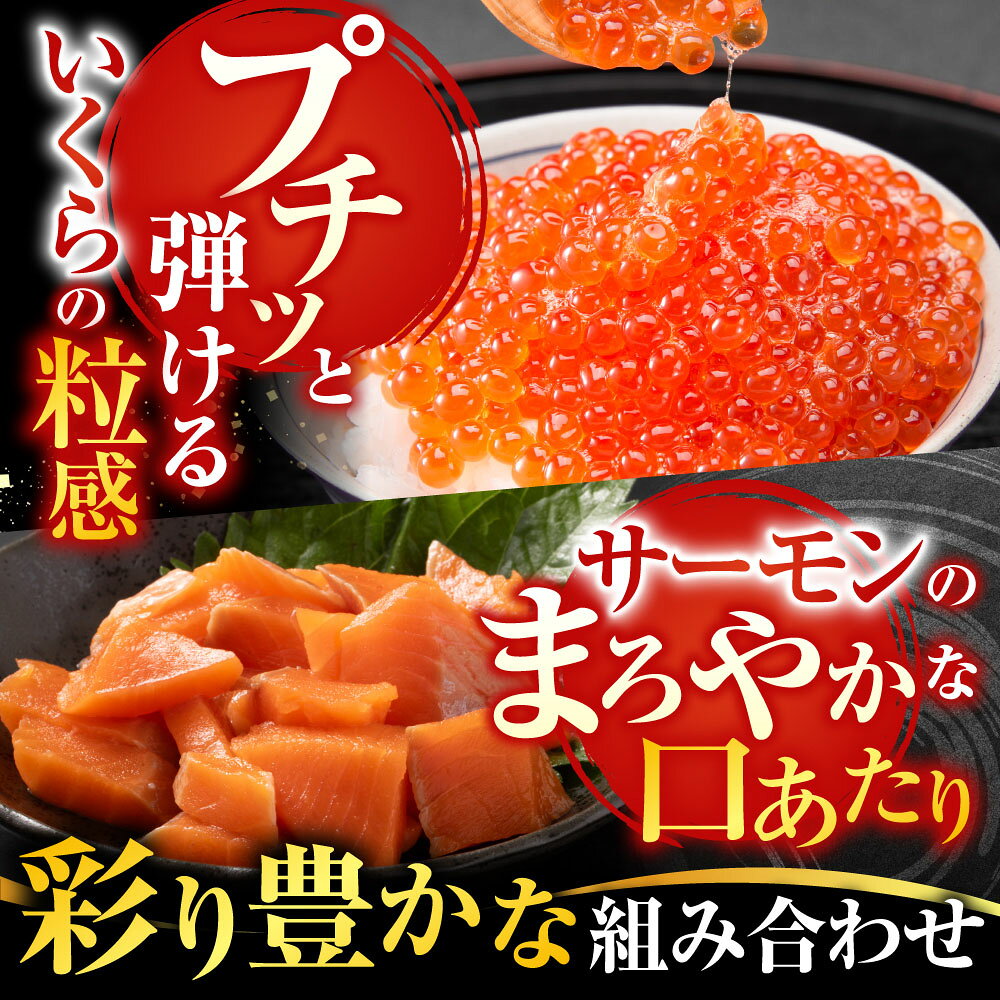 【ふるさと納税】海鮮 5 種詰合せ ( いくら、たらばがに、花咲がに、ほたて、サーモン ) ホタテ ほたて貝柱 帆立 帆立貝柱 ホタテ貝柱 貝柱 花咲蟹 花咲 花咲かに たらば蟹 タラバ蟹 鮭 さけ サケ イクラ 醤油漬 B-42111 f012238-nemuro-10007585 北海道根室市 サンプル画像3