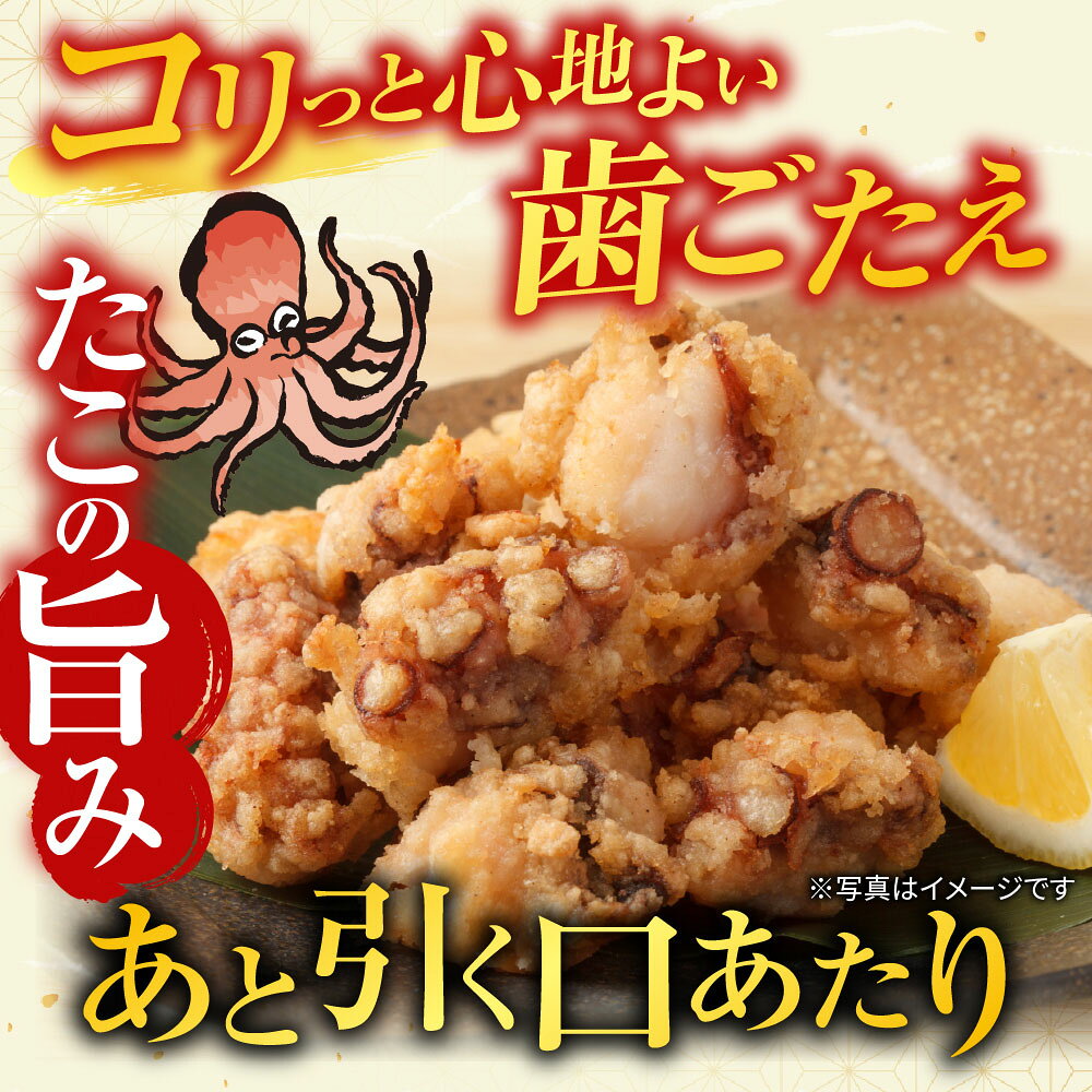 【ふるさと納税】 たこ唐揚げ 250g × 2P、ほたて貝柱 500g × 1P、いくら醤油漬け 100g × 1P ホタテ ほたて 帆立 帆立貝柱 ホタテ貝柱 貝柱 蛸 タコ お取り寄せ グルメ 海鮮 からあげ 魚卵 北海道 根室市 ふるさと納税 C-76044