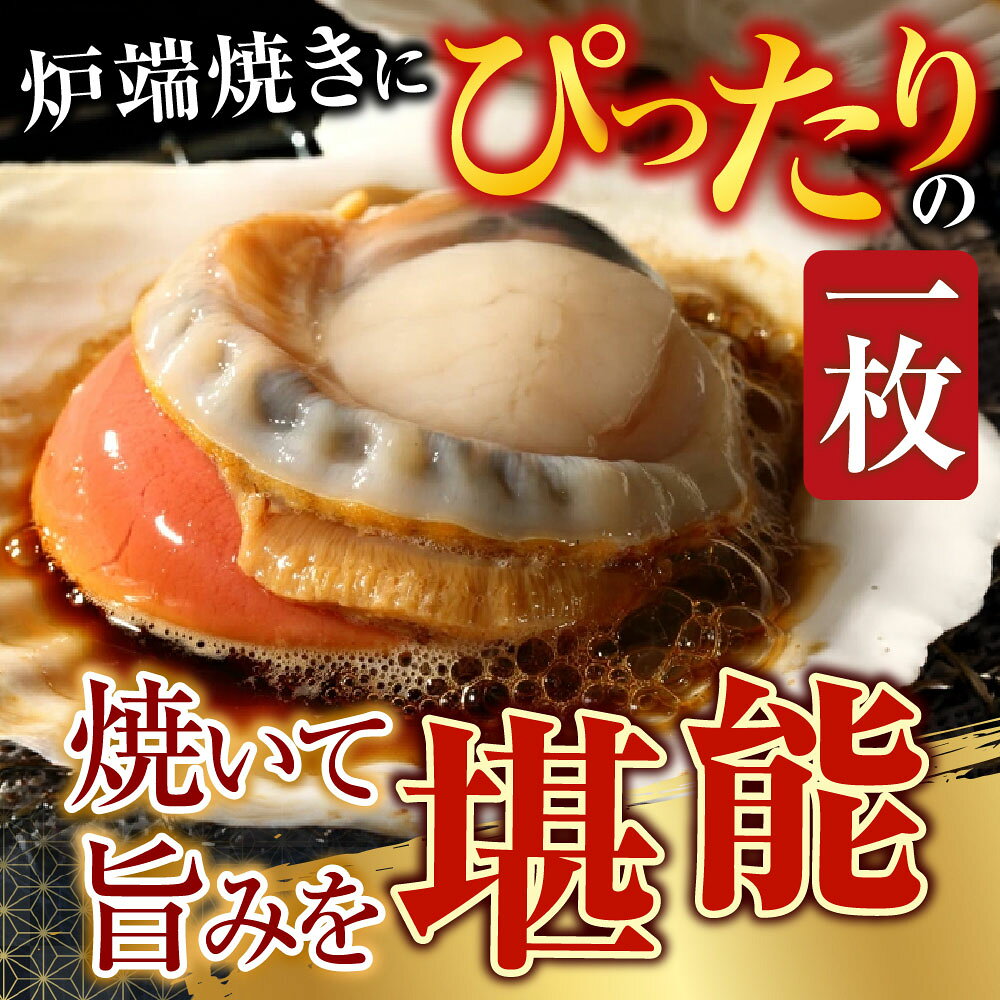 【ふるさと納税】 根室海鮮市場 ＜直送＞ 片貝ほたて 10 枚 ホタテ ほたて 帆立 帆立貝柱 ほたて貝柱 ホタテ貝柱 貝柱 殻付き 炉端焼き お取り寄せ グルメ 海鮮 北海道 根室市 ふるさと納税 G-28044 f012238-nemuro-10007003 北海道根室市 サンプル画像2