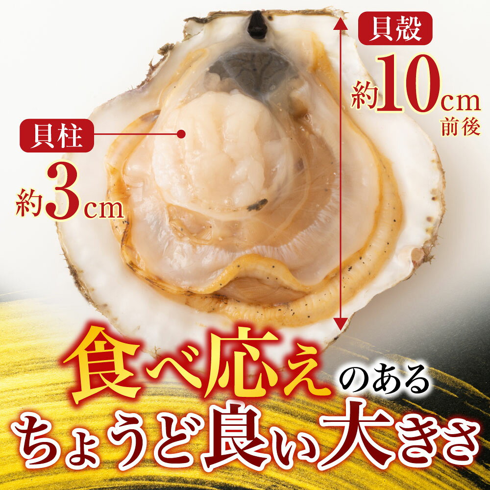 【ふるさと納税】 根室海鮮市場 ＜直送＞ 片貝ほたて 10 枚 ホタテ ほたて 帆立 帆立貝柱 ほたて貝柱 ホタテ貝柱 貝柱 殻付き 炉端焼き お取り寄せ グルメ 海鮮 北海道 根室市 ふるさと納税 G-28044 f012238-nemuro-10007003 北海道根室市 サンプル画像3