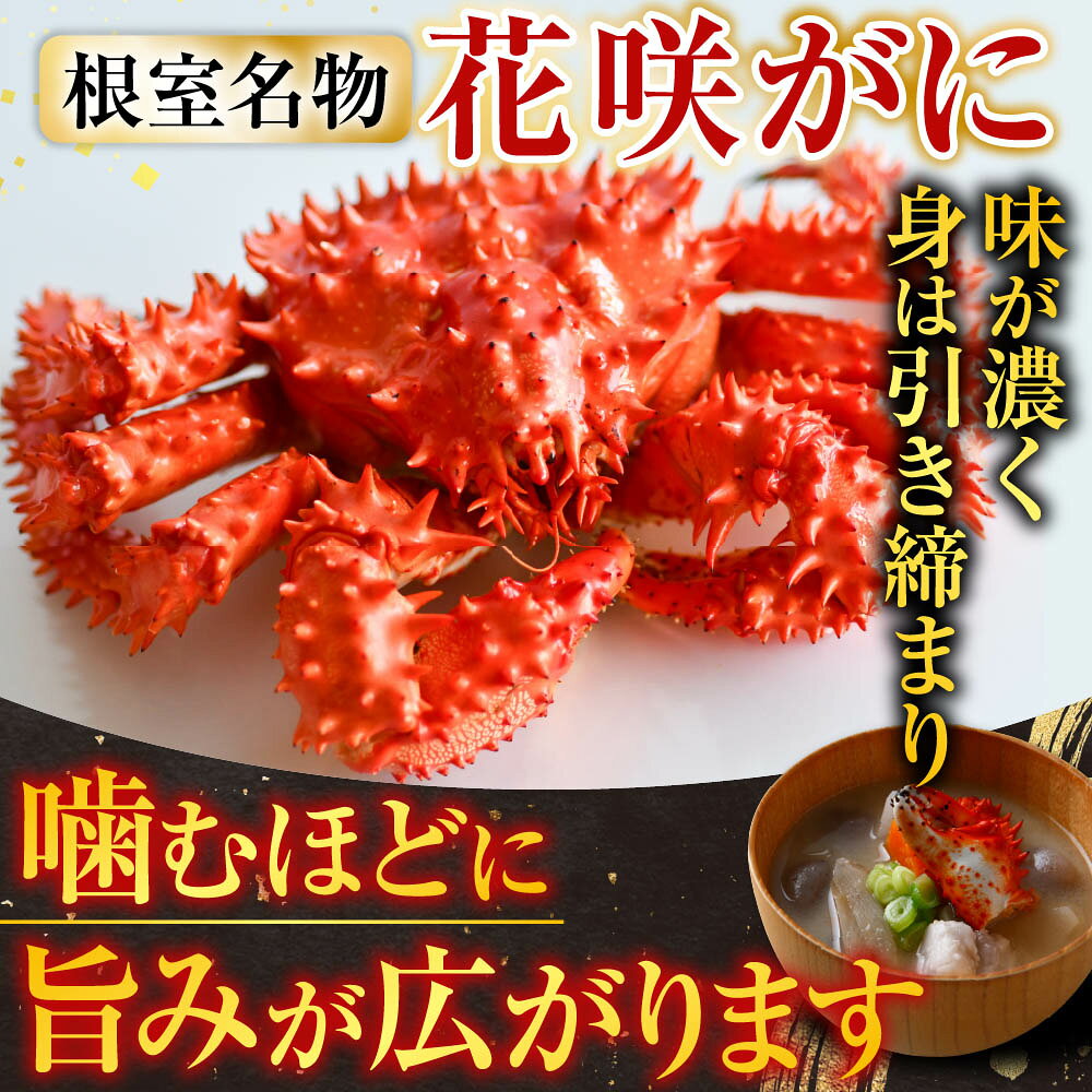【ふるさと納税】 [北海道根室産] ( 花咲かに 300g 前後 ~ 450g 前後 × 1 尾・冷凍生さんま 5 尾 × 1P ) 秋刀魚 サンマ 花咲がに 花咲 花咲ガニ 花咲蟹 かに カニ 蟹 お取り寄せ グルメ 海鮮 北海道 根室市 ふるさと納税 f012238-nemuro-10006766 北海道根室市 サンプル画像3