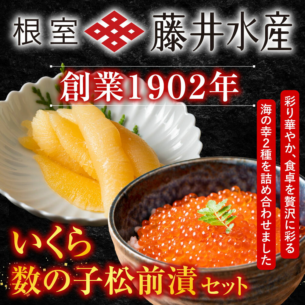 【ふるさと納税】 ＜鮭匠ふじい＞ いくら・数の子松前漬セット イクラ 醤油 醤油漬 醤油漬け 魚卵 鮭卵 お取り寄せ グルメ 海鮮 かずのこ 数の子 かずの子 松前 松前漬け ご飯のお供 おつまみ 北海道 根室市 ふるさと納税