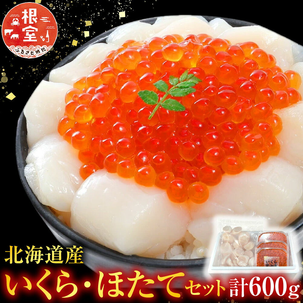 【ふるさと納税】 いくら・ほたてセット 計 600g イクラ 醤油 醤油漬 醤油漬け 魚卵 鮭卵 お取り寄せ グルメ 海鮮 ホタテ ほたて 帆立 帆立貝柱 ほたて貝柱 ホタテ貝柱 貝柱 北海道 根室市 ふるさと納税