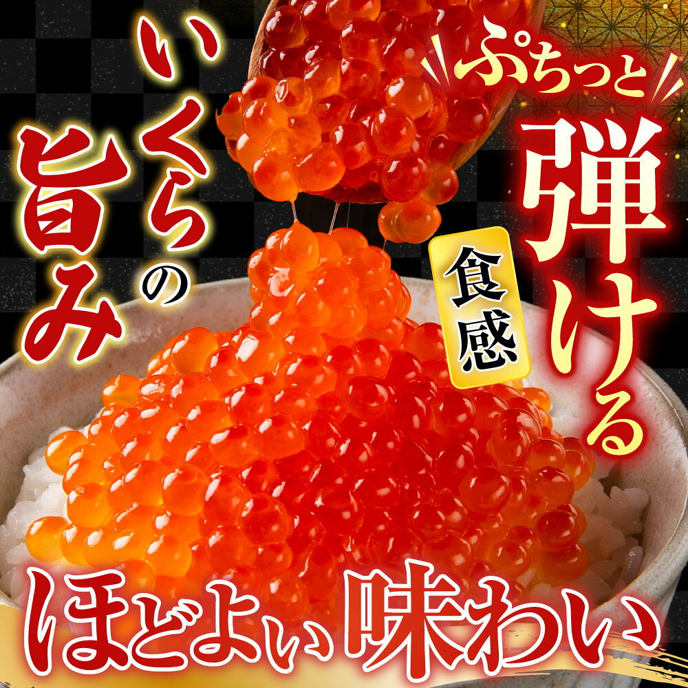 【ふるさと納税】 いくら・ほたてセット 計 600g イクラ 醤油 醤油漬 醤油漬け 魚卵 鮭卵 お取り寄せ グルメ 海鮮 ホタテ ほたて 帆立 帆立貝柱 ほたて貝柱 ホタテ貝柱 貝柱 北海道 根室市 ふるさと納税