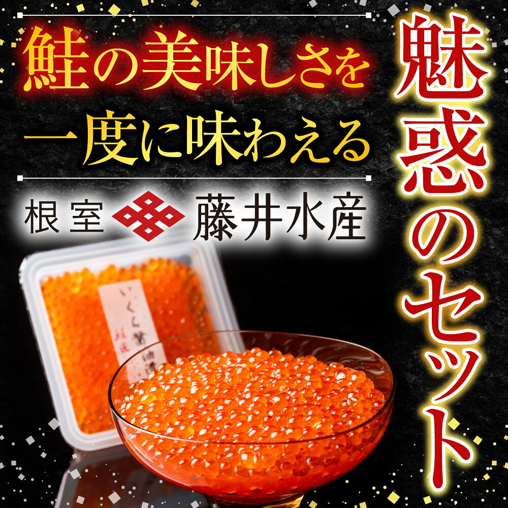 【ふるさと納税】 鮭味覚尽くし 鮭 さけ サケ しゃけ シャケ 魚 さかな サカナ 紅鮭 紅ざけ 紅ザケ べにざけ ベニザケ いくら イクラ 醤油 醤油漬 醤油漬け 魚卵 鮭卵 グルメ 海鮮 塩ざけ 塩鮭 燻製 スモーク 北海道 根室市 A-42123 f012238-nemuro-10005381 北海道根室市 サンプル画像2