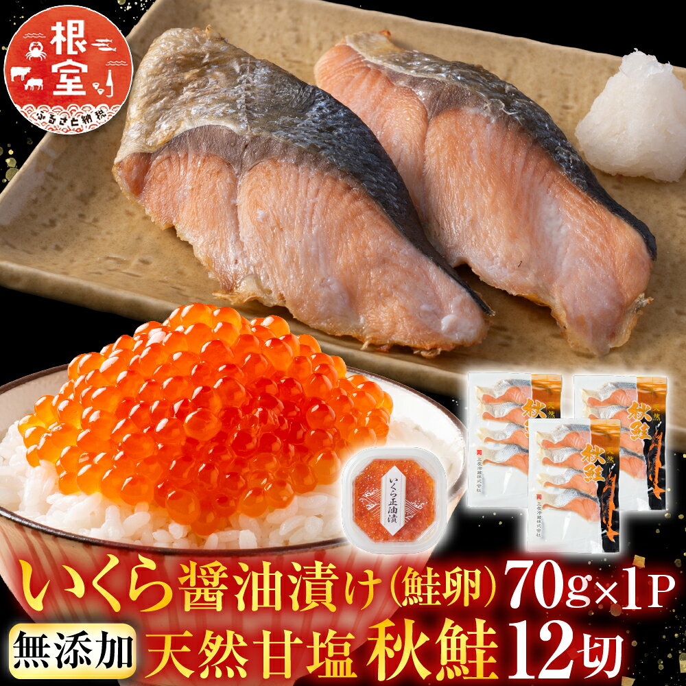 いくら醤油漬け ( 鮭卵 ) 70g × 1P、無添加天然甘塩秋鮭 12 切 サケ さけ しゃけ シャケ 秋ザケ あきざけ アキザケ イクラ 醤油 醤油漬 魚卵 お取り寄せ グルメ 海鮮 北海道 根室市 ふるさと納税 A-11153