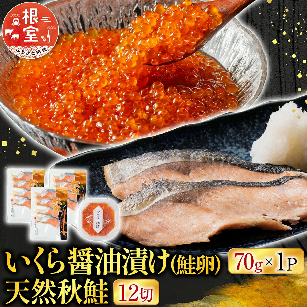 根室海鮮市場 ＜直送＞ いくら醤油漬け ( 鮭卵 ) 70g × 1P、天然秋鮭 12 切 サケ さけ しゃけ シャケ イクラ 醤油 醤油漬 魚卵 お取り寄せ グルメ 海鮮 北海道 根室市 ふるさと納税 A-28155