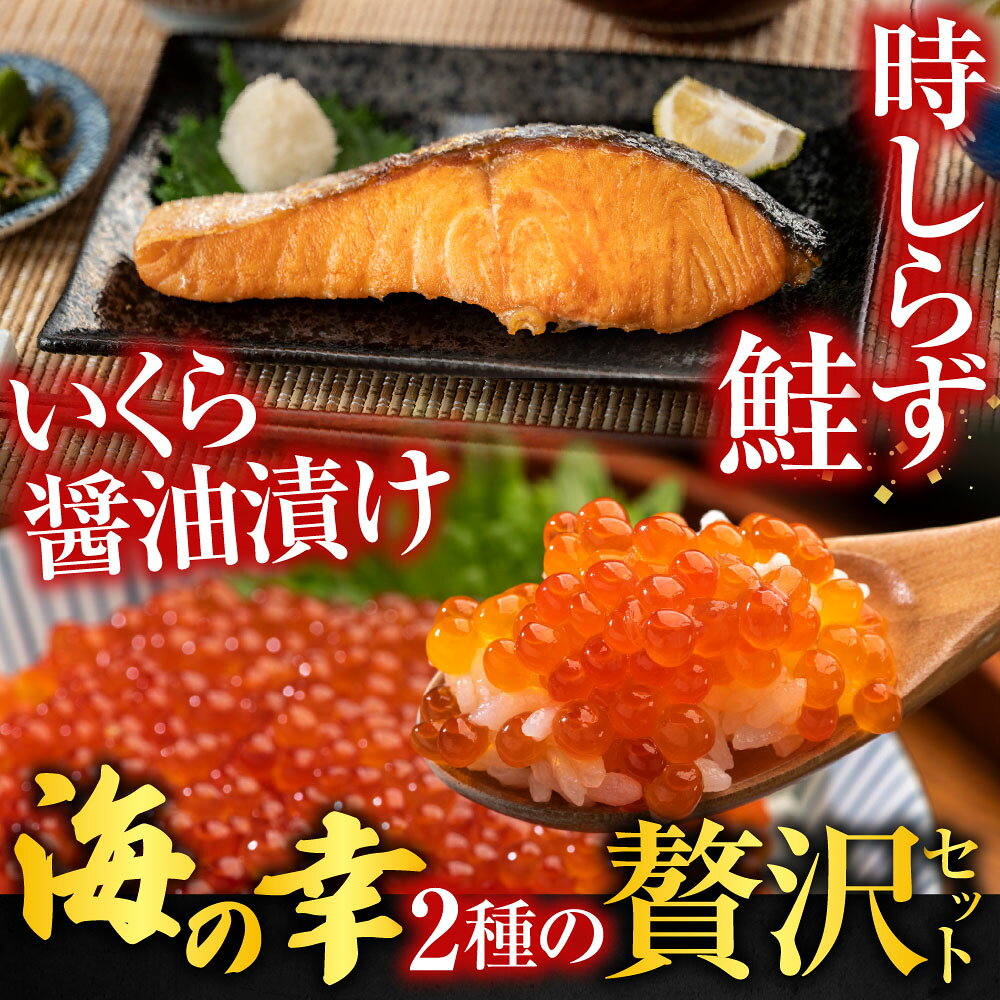 【ふるさと納税】 時しらず鮭 1 切 × 4P ・いくら醤油漬け 50g × 2P 鮭 さけ サケ しゃけ シャケ 魚 さかな サカナ 沖どれザケ 沖どれざけ 春ざけ 春鮭 時不知 時鮭 ときしらず 海鮮 イクラ 醤油 醤油漬 北海道 A-42134 f012238-nemuro-10007549 北海道根室市 サンプル画像2