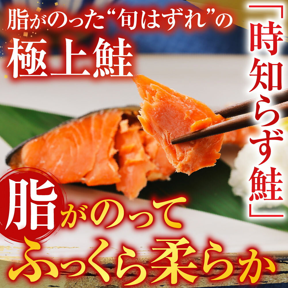 【ふるさと納税】 時しらず鮭 1 切 × 4P ・いくら醤油漬け 50g × 2P 鮭 さけ サケ しゃけ シャケ 魚 さかな サカナ 沖どれザケ 沖どれざけ 春ざけ 春鮭 時不知 時鮭 ときしらず 海鮮 イクラ 醤油 醤油漬 北海道 A-42134 f012238-nemuro-10007549 北海道根室市 サンプル画像3