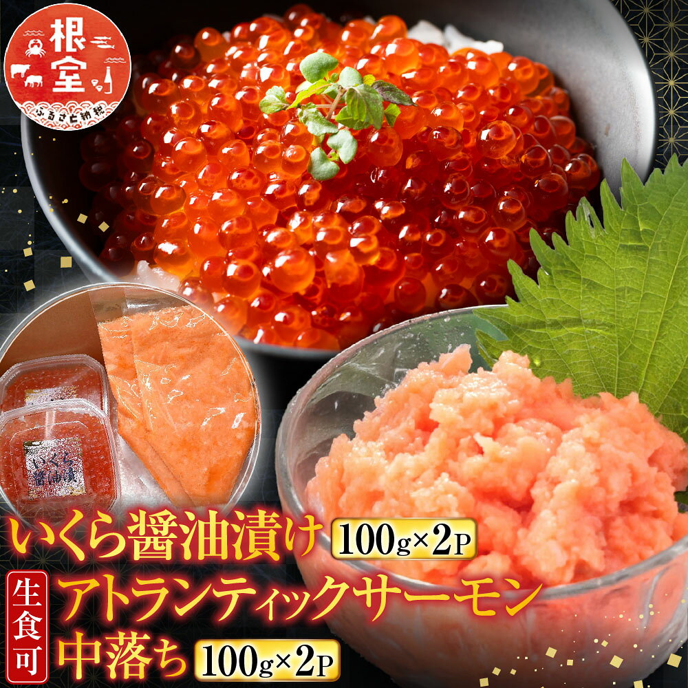 いくら醤油漬け・生食可アトランティックサーモン中落ちセット A-81025