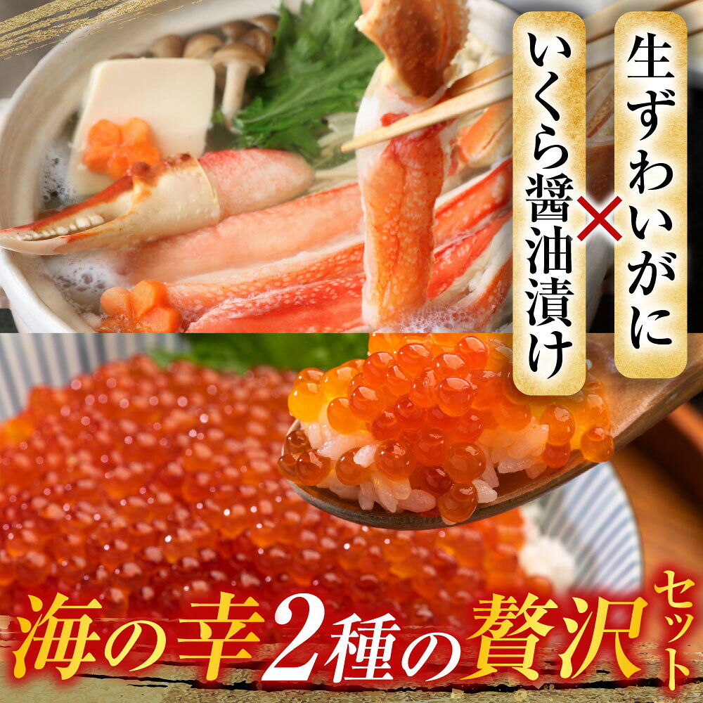 【ふるさと納税】 お刺身 OK！生ずわいがに棒肉ポーション 400g ( 9 〜 16本 ) 、いくら醤油漬け ( 鮭卵 ) 70g × 2P ( 計 140g ) ズワイガニ ズワイ ずわい ズワイ蟹 ずわい蟹 かに カニ 蟹 イクラ 醤油 醤油漬 魚卵 北海道 B-11103 f012238-nemuro-10006337 北海道根室市 サンプル画像2