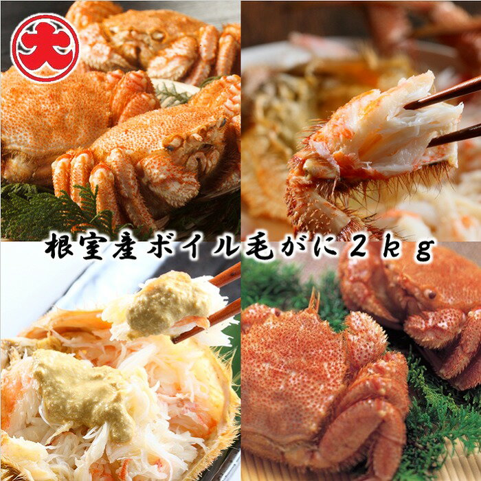 【ふるさと納税】[北海道根室産]ボ�