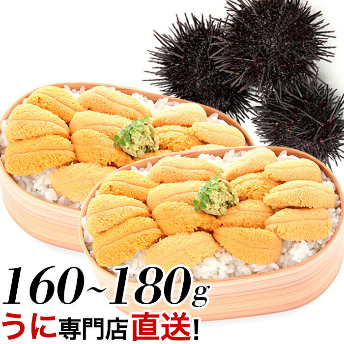 【ふるさと納税】ムラサキウニ80～90g×2P[5月中旬以降