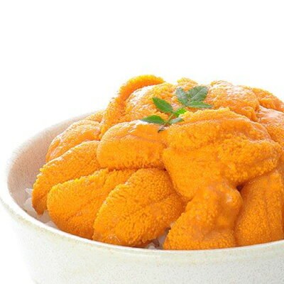 【ふるさと納税】<年内配送可> エゾバフンウニ塩水パック 50 ~ 60g × 2P うに ウニ 雲丹 バフンウニ エゾバフンうに えぞばふんうに 蝦夷バウンウニ 蝦夷ばふんうに ウニ丼 うに丼 雲丹丼 刺身 お取り寄せ グルメ 海鮮 北海道 根室市 ふるさと納税 A-06011 - Image 1