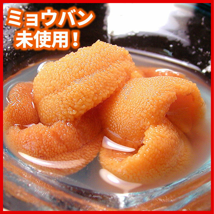 【ふるさと納税】エゾバフンウニ(黄色)塩水パック 選べる 70g×1P 100〜110g×1P うに ウニ 雲丹 バフンウニ エゾバフンうに 海鮮 塩水 北海道 根室市