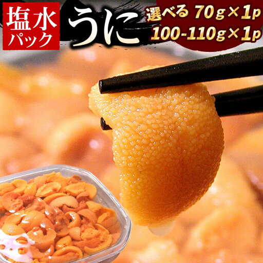【ふるさと納税】エゾバフンウニ(黄色)塩水パック 選べる 70g×1P 100〜110g×1P うに ウニ 雲丹 バフンウニ エゾバフンうに 海鮮 塩水 北海道 根室市 【ふるさと納税】エゾバフンウニ(黄色)塩水パック 選べる 70g×1P 100〜110g×1P うに ウニ 雲丹 バフンウニ エゾバフンうに 海鮮 塩水 北海道 根室市