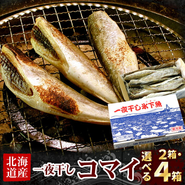 【ふるさと納税】一夜干こまい500g 選べる 2P 4P 魚 サカナ さかな コマイ 氷下魚 北海道 根室市