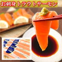 【ふるさと納税】お刺身トラウトサーモン10〜25本(計5kg)&塩キングサーモン切り身1切(約100g)×20P E-09009