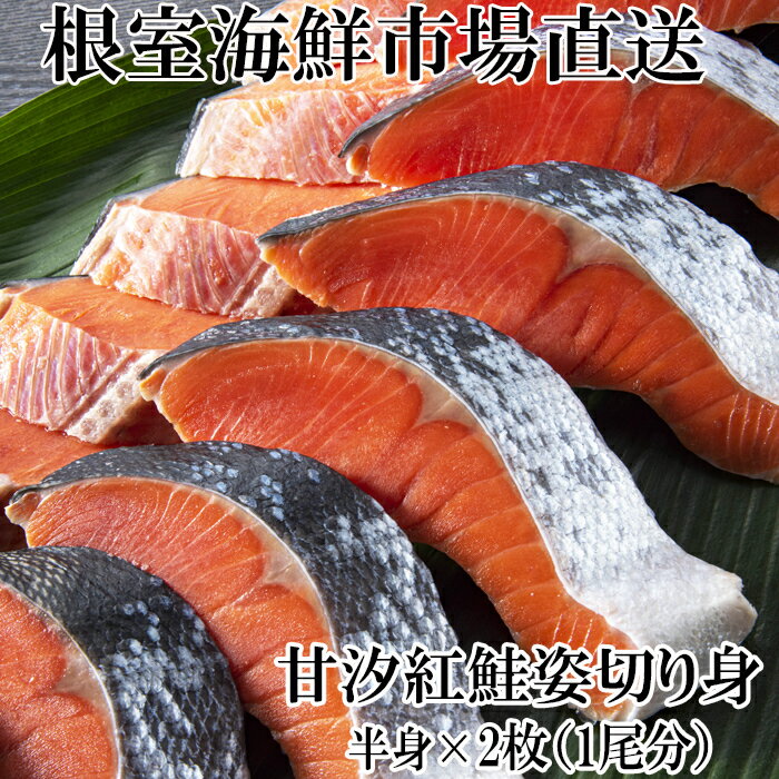 ڤդ뤵ǼǡŷűȺȾ(ȾȿڤȲù)2P A-11073