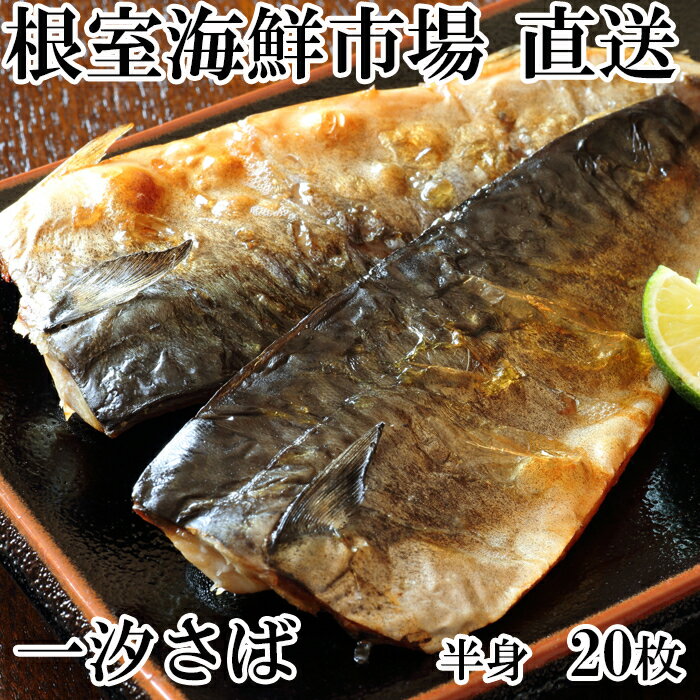 ڤդ뤵Ǽǡ̵źŷХե20 A-11080