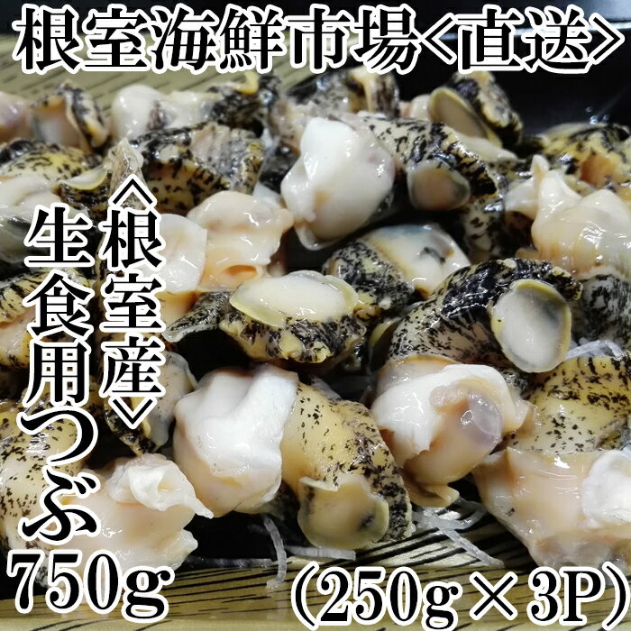 【ふるさと納税】[北海道根室産]生食用灯台つぶ250g 3P 計750g A-11120