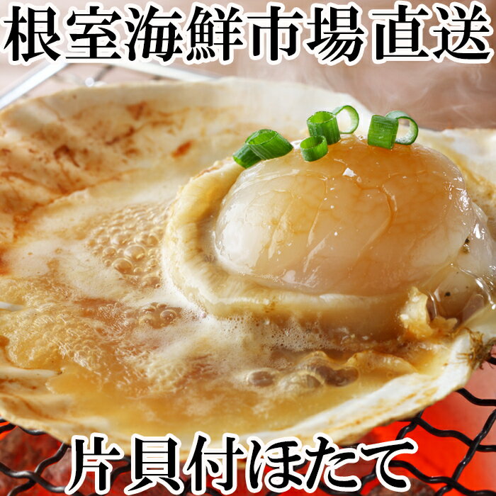 【ふるさと納税】【緊急支援品】＼漁業者応援品／片貝ほたて10～13枚×2袋 A-11121